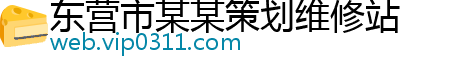 东营市某某策划维修站